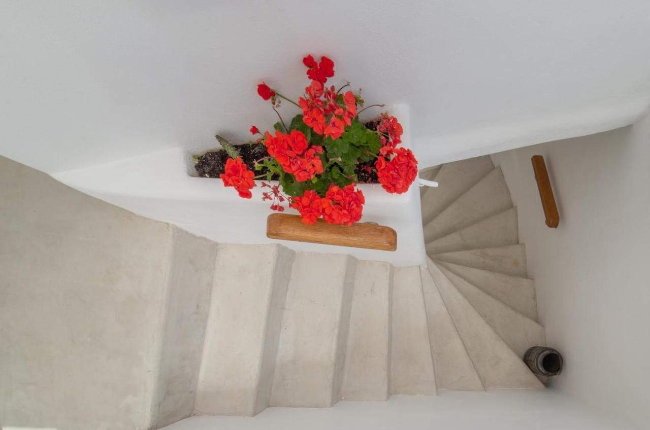 Lasia Boutique Apartment Ándros Dış mekan fotoğraf